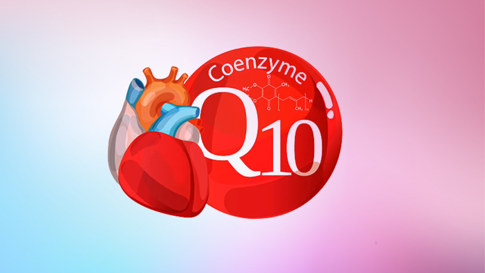 Everything You Need to Know About Coenzyme Q10